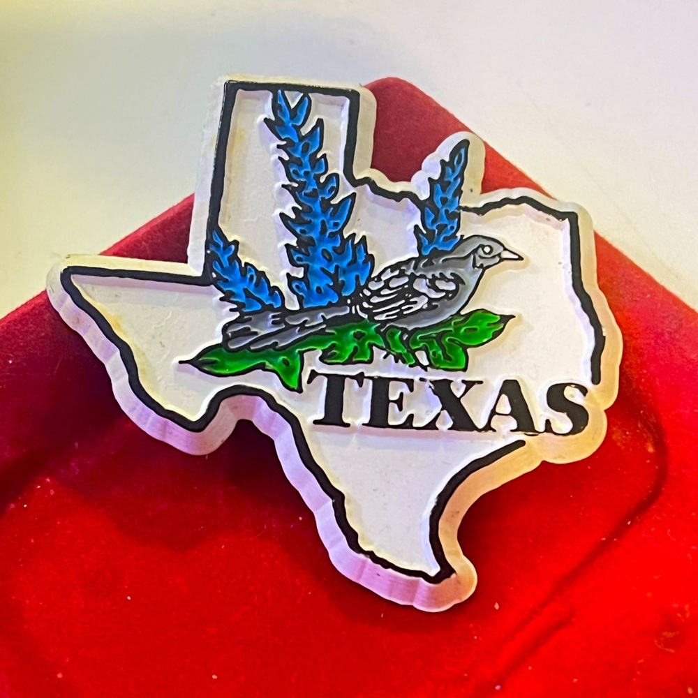 Vintage Texas State Fridge Magnet
